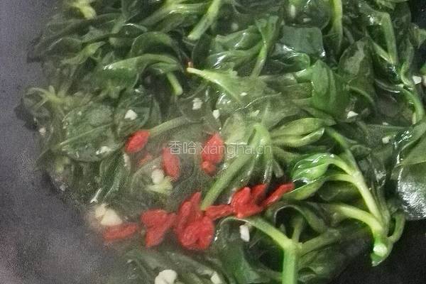 蒜蓉穿心莲的做法图解7