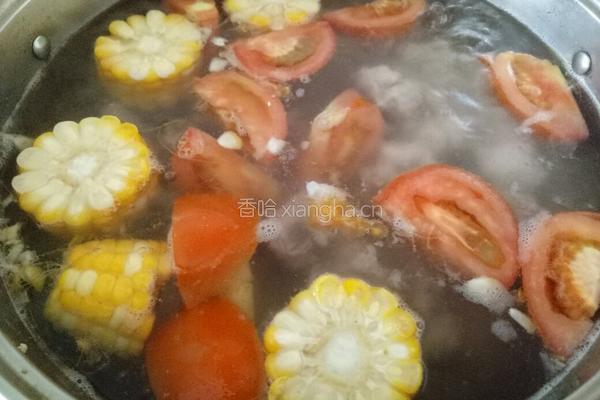 西红柿玉米排骨汤的做法图解7