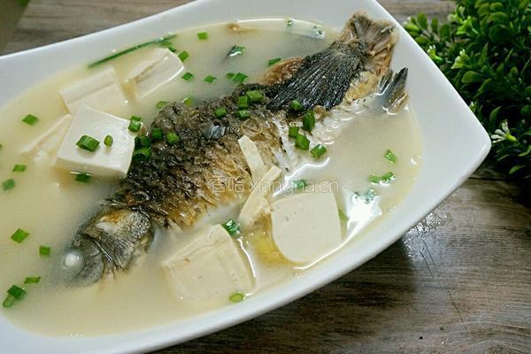 豆腐炖鱼的做法图解10