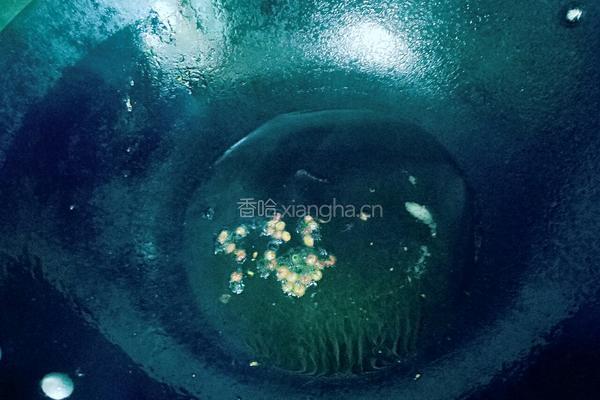 酸辣豇豆的做法图解2