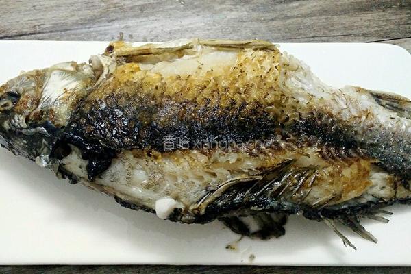 醋焖鲫鱼的做法图解4