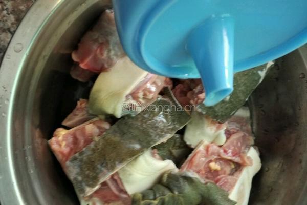 虫草花炖甲鱼的做法图解2