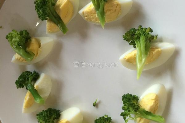 鸡胸肉沙拉的做法图解6