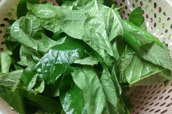 煮四季豆叶的做法图解1