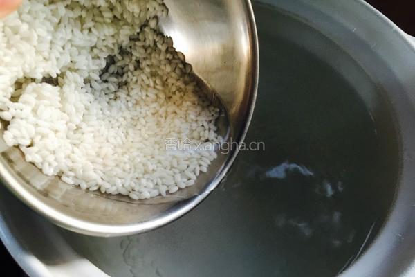鸡肉粥的做法图解4