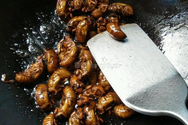 香酥金蝉的做法图解5