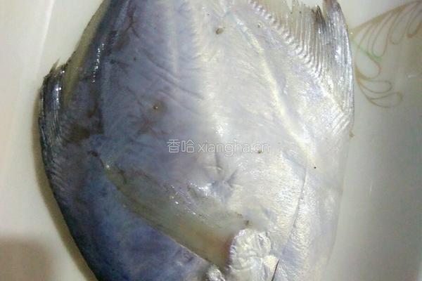 干炸小鲳鱼的做法图解1