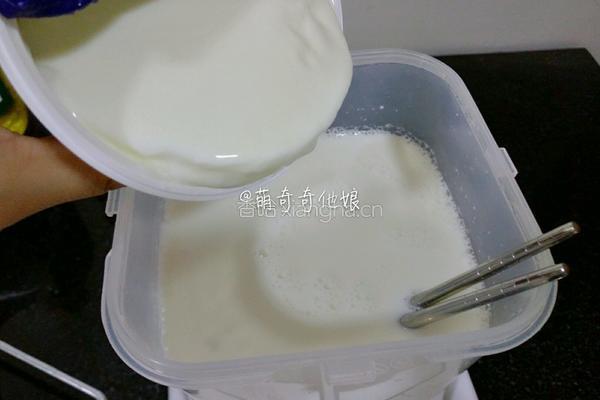 老酸奶的做法图解7