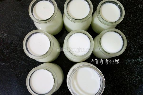 老酸奶的做法图解8