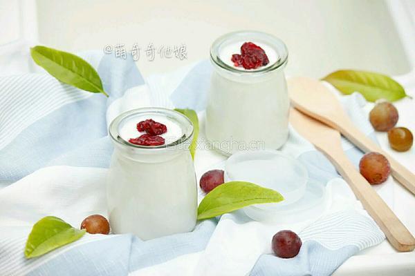 老酸奶的做法图解10