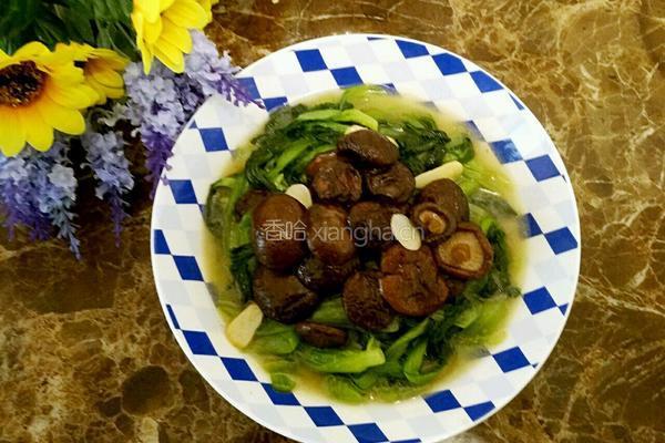 香菇炒油菜的做法图解10
