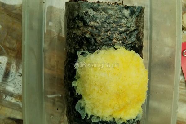 银耳莲子红枣糖水的做法图解2