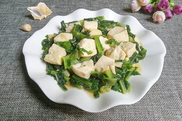 油麦菜炖豆腐的做法图解10