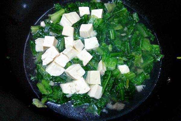 油麦菜炖豆腐的做法图解7
