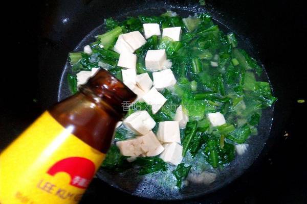油麦菜炖豆腐的做法图解8