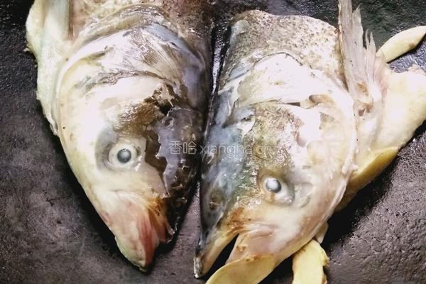 鱼头豆腐的做法图解4