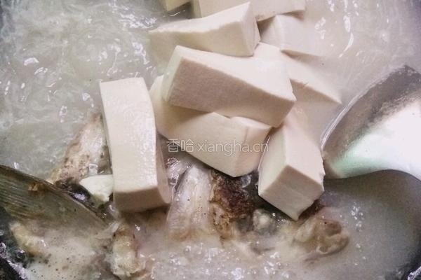 鱼头豆腐的做法图解7