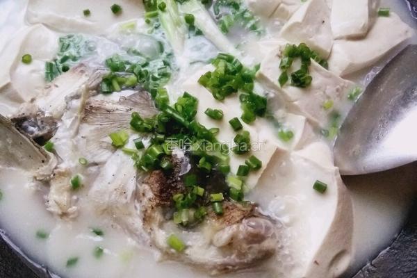 鱼头豆腐的做法图解9