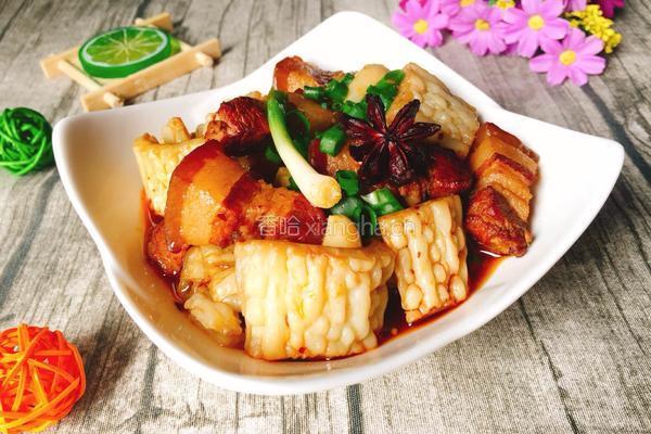苦瓜红烧肉的做法图解16