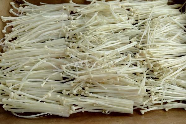 烤金针菇的做法图解3