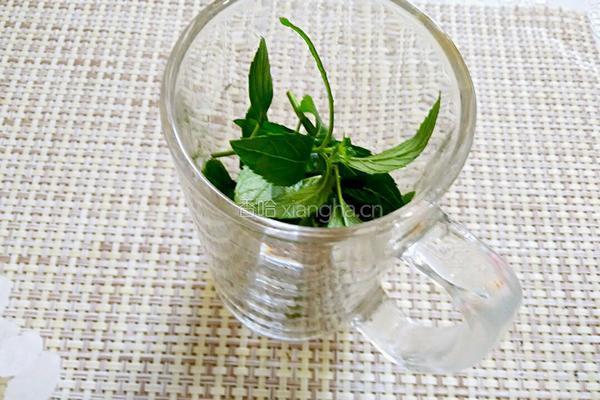 薄荷茶的做法图解2