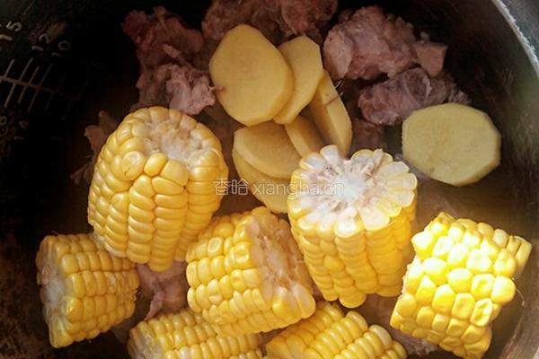 紫菜玉米排骨汤的做法图解6