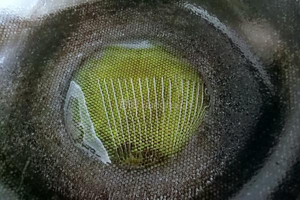 腌脆黄瓜的做法图解3