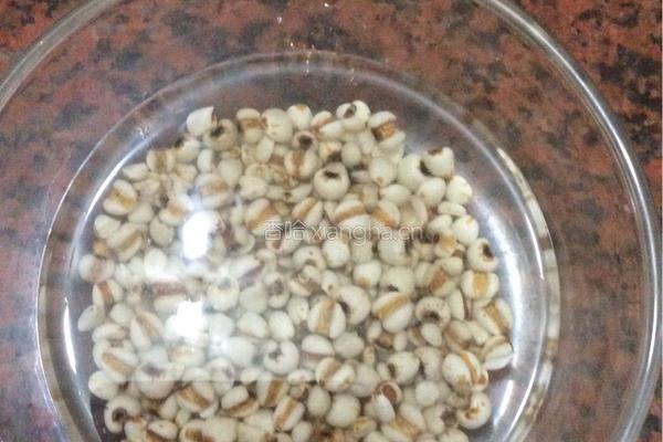 冬瓜薏米煲猪骨的做法图解5