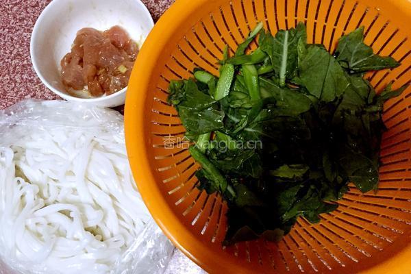 湿炒河粉的做法图解2