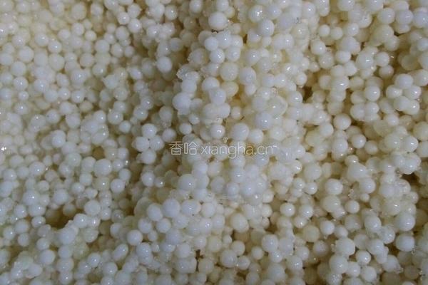 水晶粽子的做法图解4