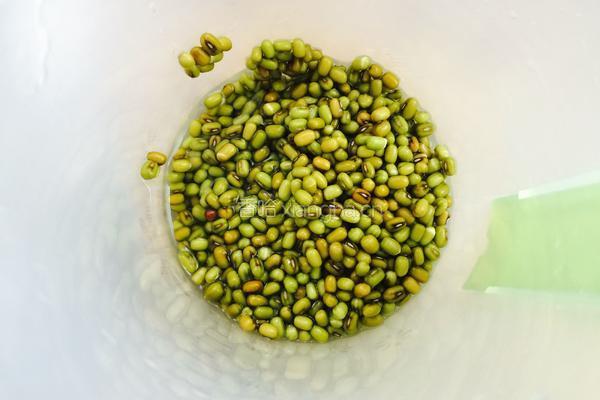 绿豆浆的做法图解2