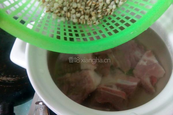 冬瓜薏米猪骨汤的做法图解4
