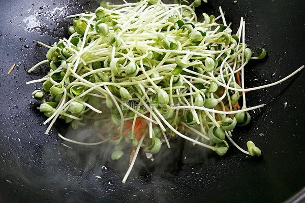 素炒豌豆苗的做法图解5
