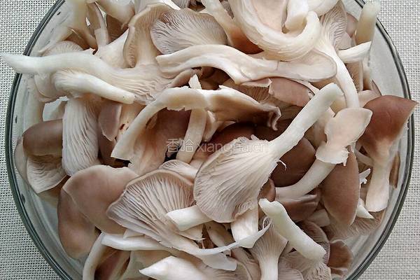 肉片烧蘑菇的做法图解1