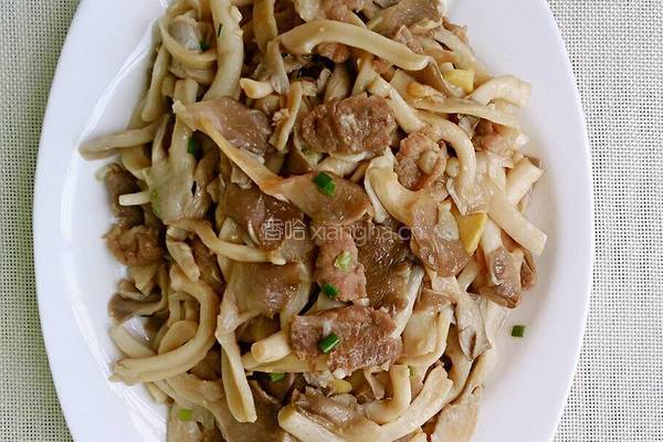 肉片烧蘑菇的做法图解7