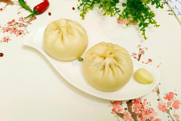 酱肉包子的做法图解15