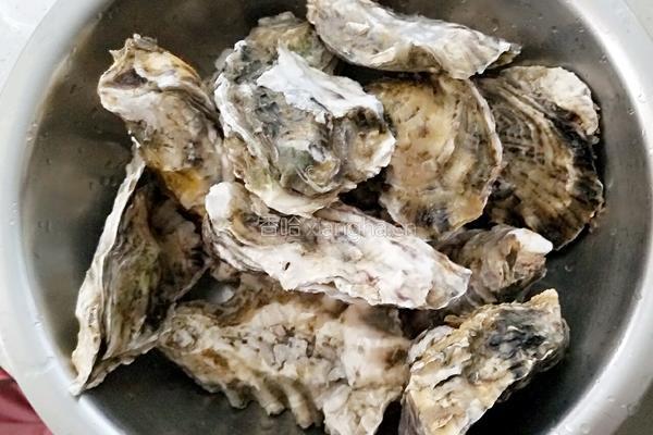 烤海蛎子的做法图解1
