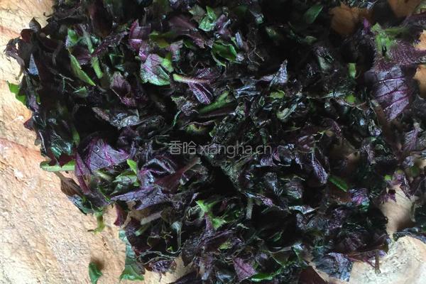 马齿苋炒肉的做法图解4