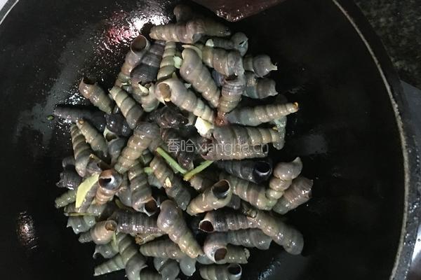 炒钉螺的做法图解5