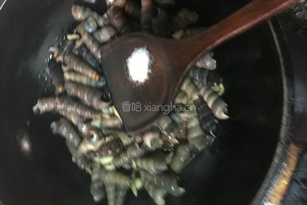 炒钉螺的做法图解6