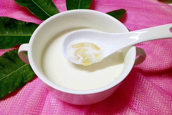 花胶炖牛奶的做法图解7