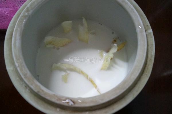 花胶炖牛奶的做法图解3