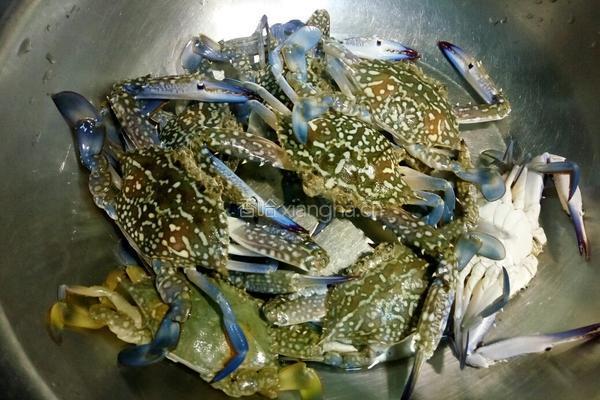 闷花蟹的做法图解1