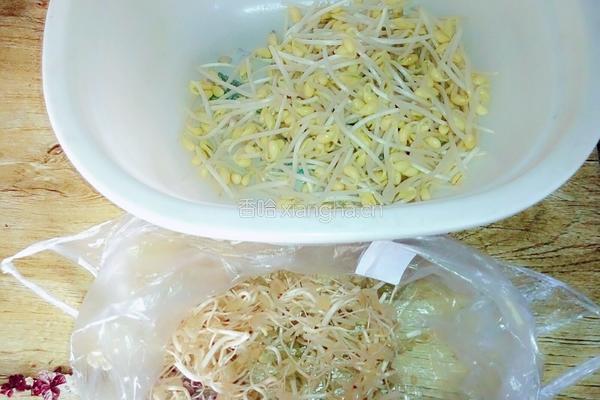 黄豆芽炒咸鱼的做法图解1