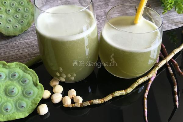 蜂蜜铁皮石斛汁的做法图解7