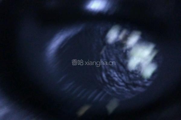 筋饼卷菜的做法图解3