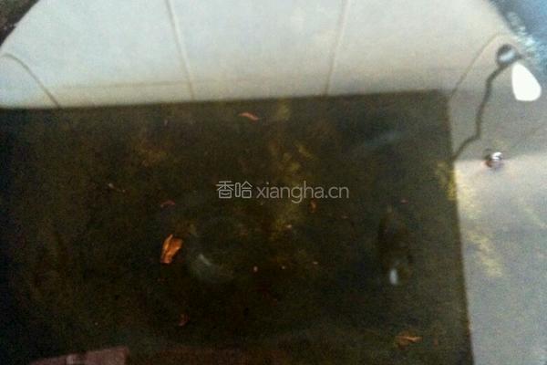 高烧红薯的做法图解5