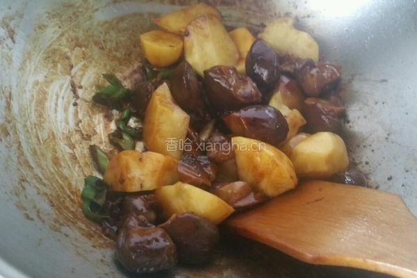 土豆炖鸡胗的做法图解4