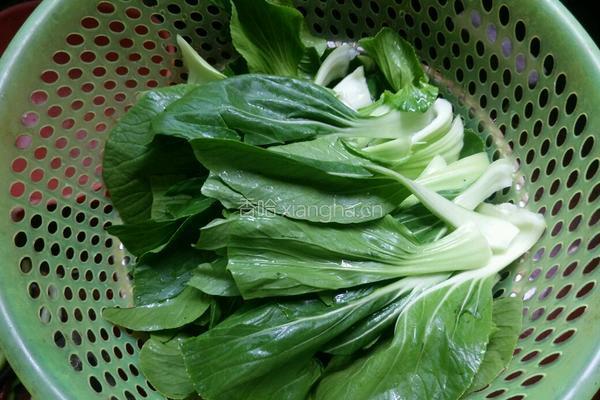 香菇油菜的做法图解2