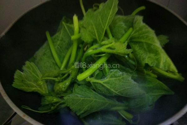 上汤南瓜苗的做法图解7